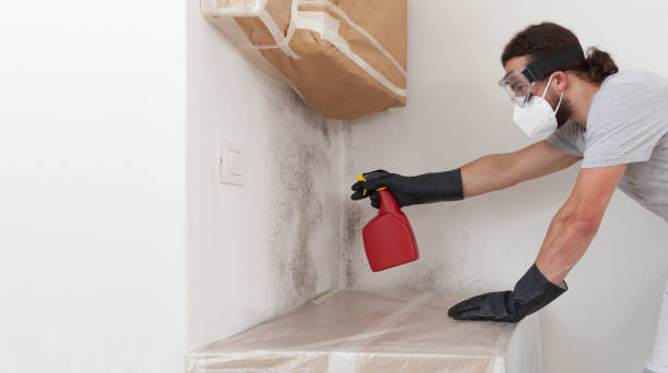 Professional Bathroom Mold Removal technician working in New Braunfels, TX