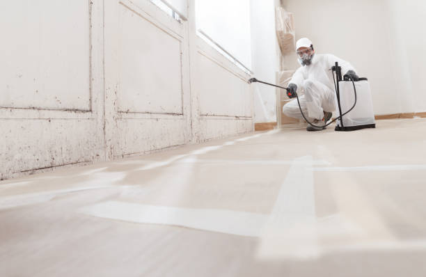 24/7 Emergency Bathroom Mold Removal experts in New Braunfels, TX
